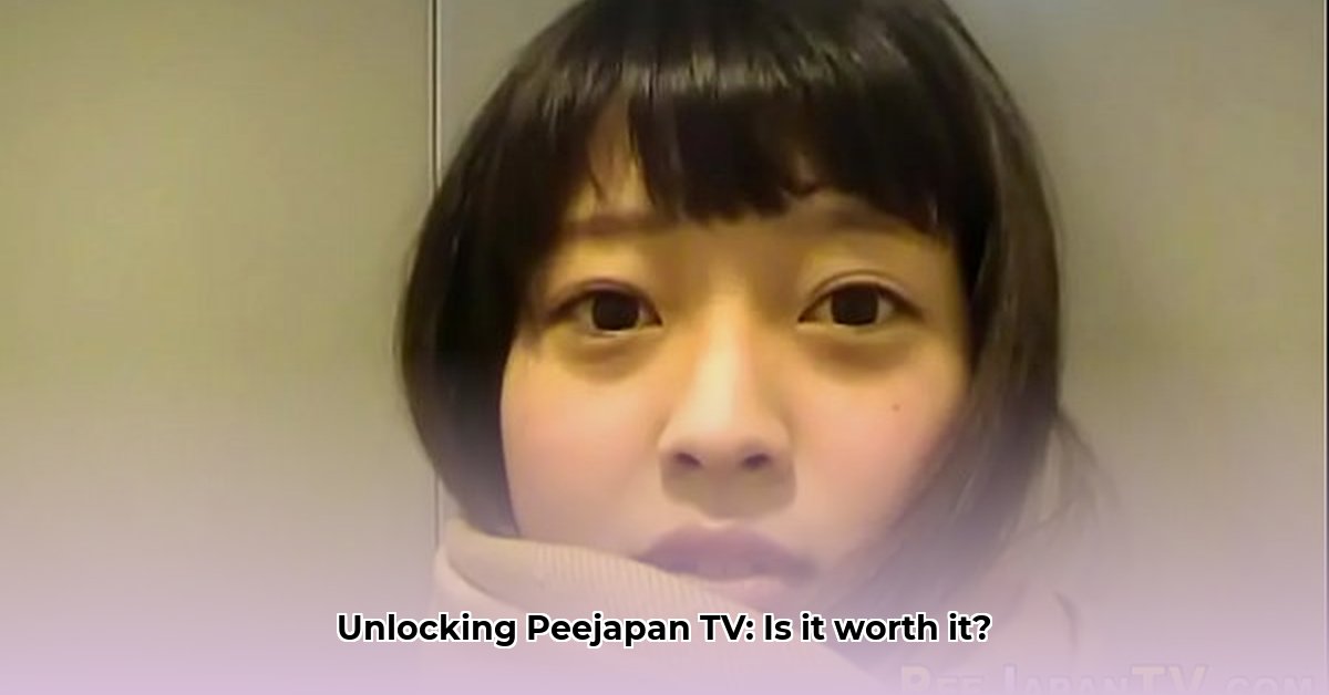 peejapan-tv-com